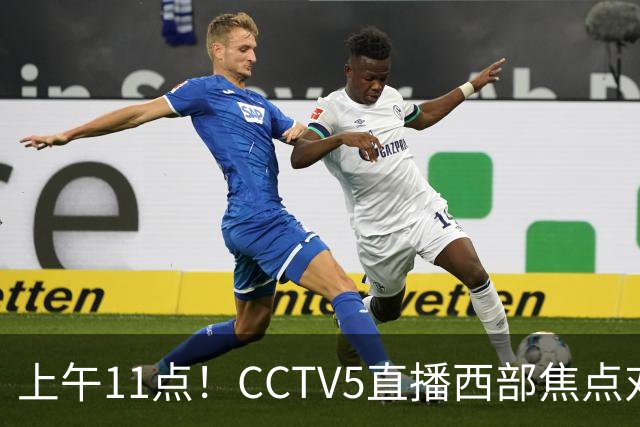 上午11点！CCTV5直播西部焦点对决，2连胜PK3连胜，杨瀚森或迎“生死战”
