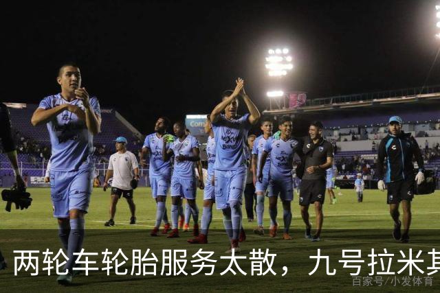 两轮车轮胎服务太散，九号拉米其林进店补课