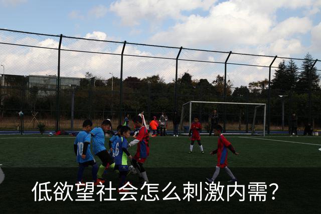 低欲望社会怎么刺激内需？