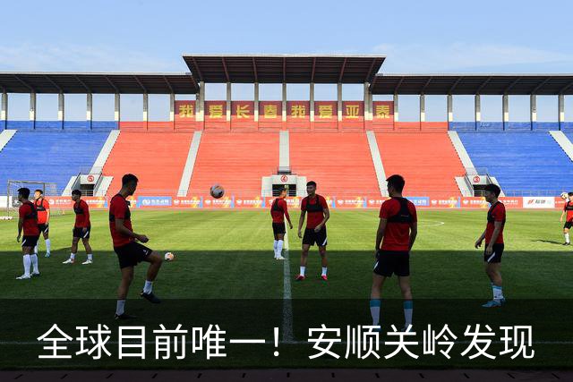全球目前唯一！安顺关岭发现