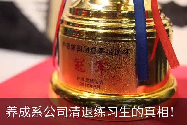 养成系公司清退练习生的真相！