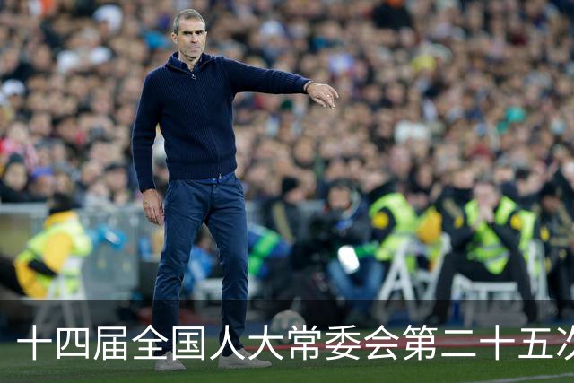 十四届全国人大常委会第二十五次会议将于11月2日至6日在京举行