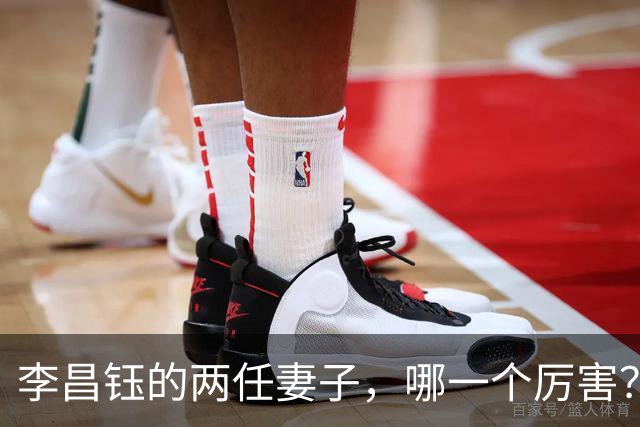 李昌钰的两任妻子，哪一个厉害？