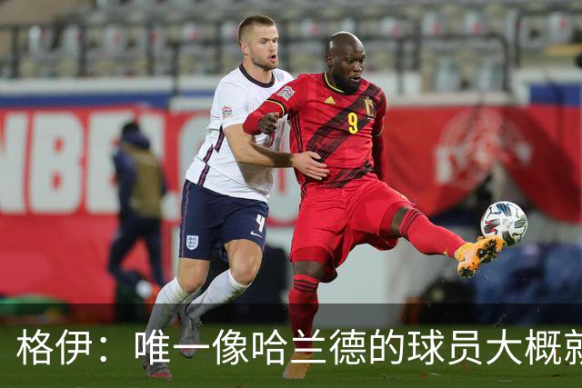 格伊：唯一像哈兰德的球员大概就是凯恩 欧战我们或许要少些激进