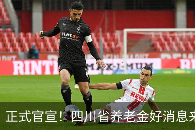 正式官宣！四川省养老金好消息来了，每月普涨30元，80岁以上增发