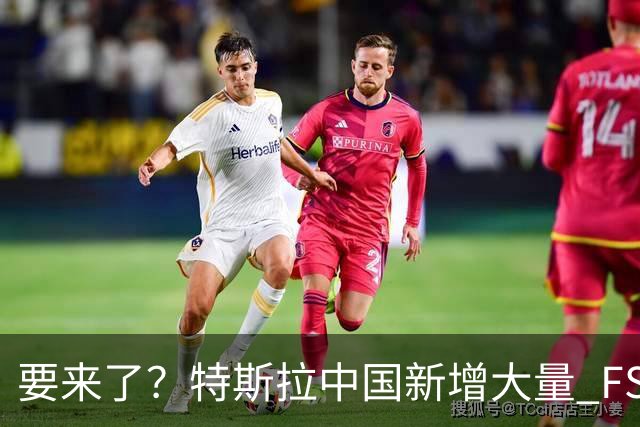要来了？特斯拉中国新增大量 FSD 功能和图标
