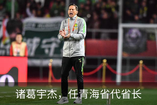 诸葛宇杰，任青海省代省长
