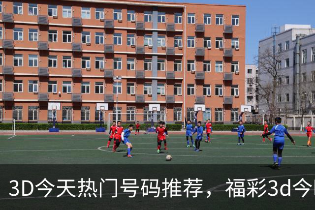 3D今天热门号码推荐，福彩3d今晚热门推荐号，今晚重点推荐号码更新，福彩3D直选今日推荐号272期