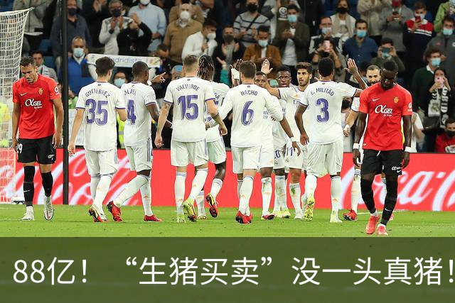 88亿！“生猪买卖”没一头真猪！空手套白狼，国企巨款全被挪走？